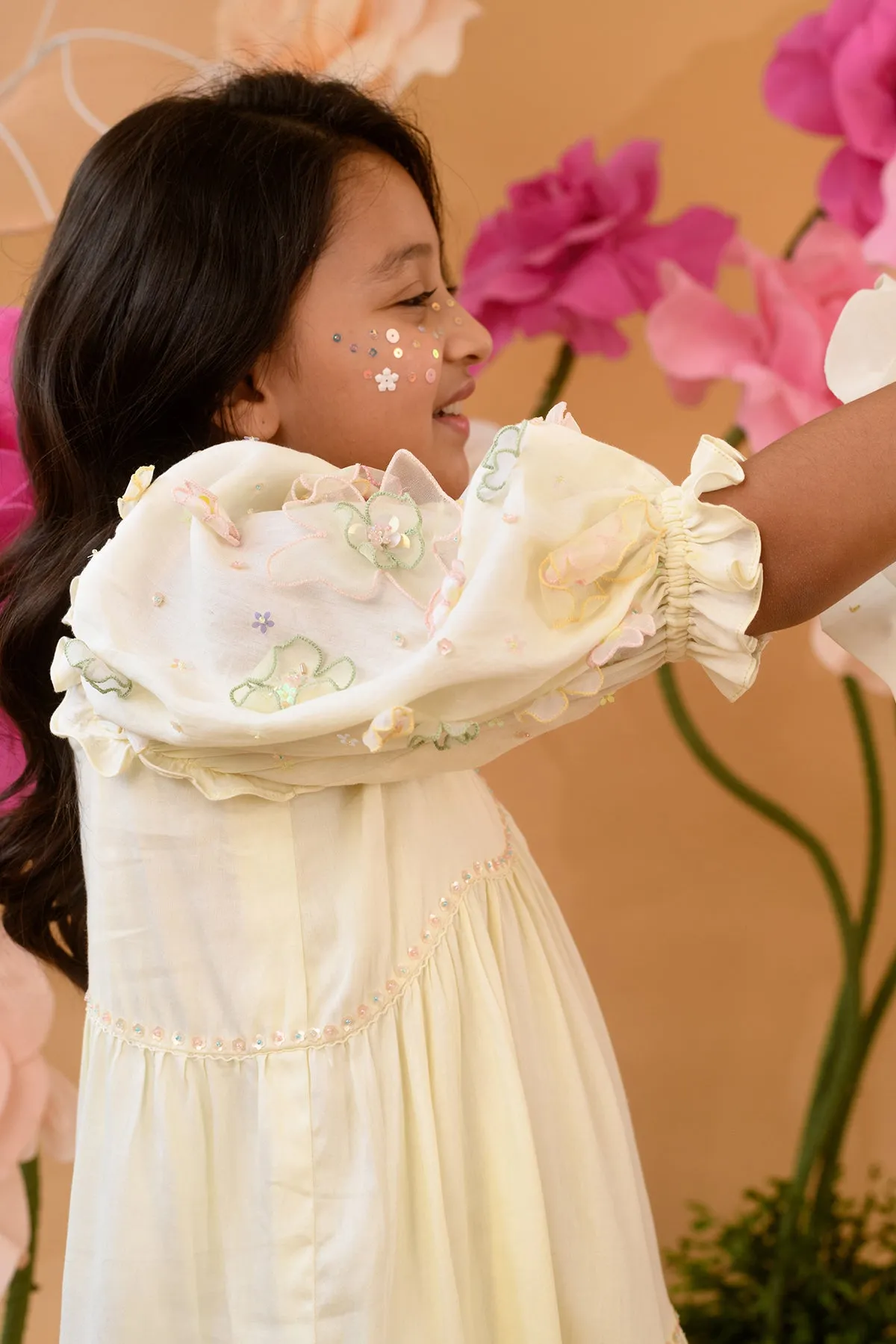 A day at the Flower- Embroidered Cotton Satin Dress