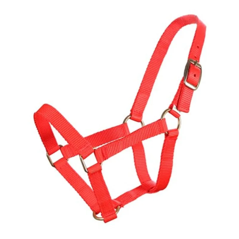 Piccolo Mini Halter