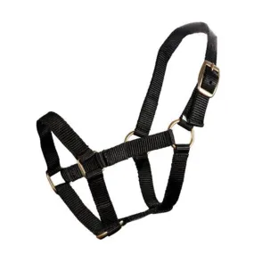 Piccolo Mini Halter